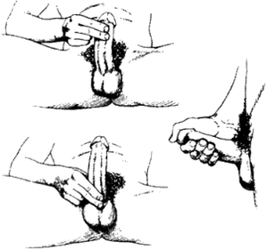 masturbation et massage pour l'agrandissement du pénis
